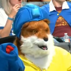 reafillsab's Avatar'