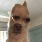 TwitchAylo1x's Avatar'