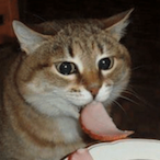 A_Schnitzel007's Avatar'