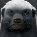 fitz1928's Avatar'