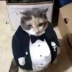 MysticXVII's Avatar'