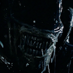 Xenomorphe-03's Avatar'