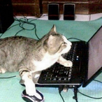 Nuts_exe's Avatar'