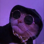 MrLosterino's Avatar'