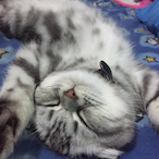 HHKKo's Avatar'