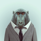 monkyfardpee's Avatar'