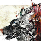 Indus101St's Avatar'