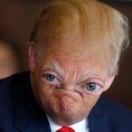 CoolTrump911's Avatar'
