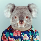 Daintree_'s Avatar'