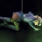 AUG_Rudziutki's Avatar'