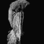 DominateMeEla's Avatar'