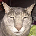 Minions_Lover56's Avatar'