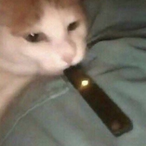 HubbaBubba0315's Avatar'