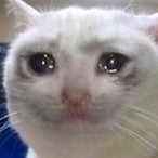 PetiteStudent12's Avatar'