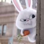 RABBITSsCQB's Avatar'