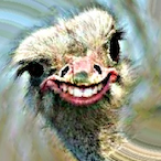 lowkkfragjn's Avatar'