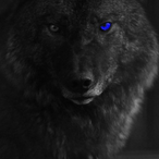 Zathraiin's Avatar'