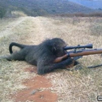 winspector_24's Avatar