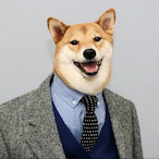 Bob WLF's Avatar'