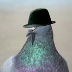NO_IQ_MAGIC's Avatar'