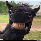 EierKneifer10's Avatar'