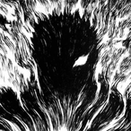 Dank_Baby3's Avatar'