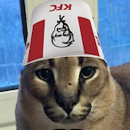 zFali's Avatar'