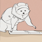 RaccoonFrost's Avatar'