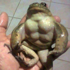 DrStinkyPoo's Avatar'