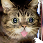 quits-high06's Avatar'