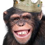 TheKillChamber's Avatar'