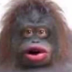 PoopLeMunkii's Avatar'