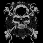 kryssbein's Avatar'