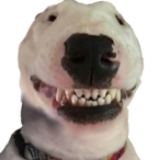 anthonyarchive's Avatar'