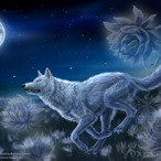Loonawolf2086's Avatar'