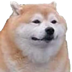 Luis2RAW4001's Avatar'