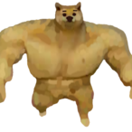 distortts's Avatar'