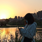 pig_hong's Avatar'