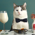 Milkyfall's Avatar'