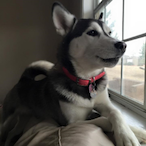 blacktsanta's Avatar'