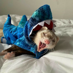 RXWFerrari's Avatar'