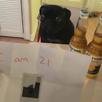 daddy-swng-u's Avatar'