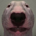 Chunkles1346's Avatar'