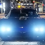 Daritto_V_'s Avatar'