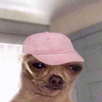 LiL_knoppers's Avatar'