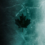 xXDebeli_MacakXx's Avatar'