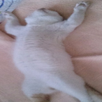 Ijhgy's Avatar'