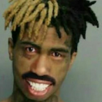 Velxcro's Avatar'