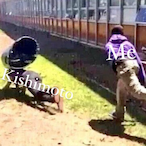 Frrforcepas's Avatar'