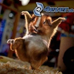 SuspectBuXo's Avatar